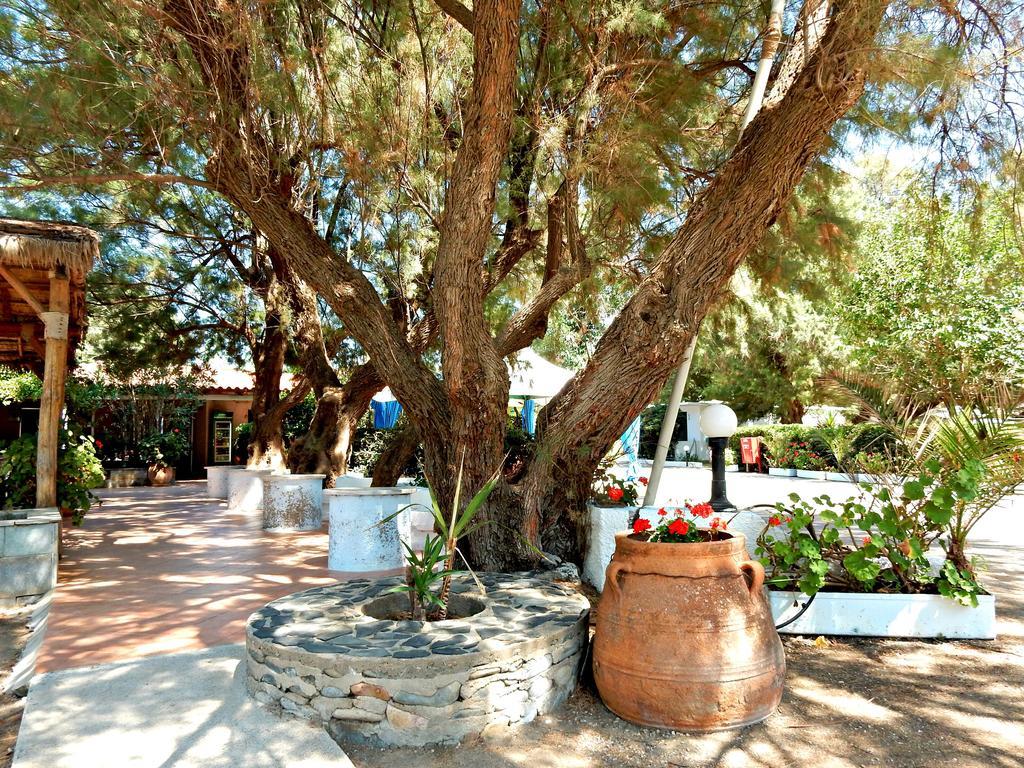 Camping Mithimna Kíssamos Buitenkant foto